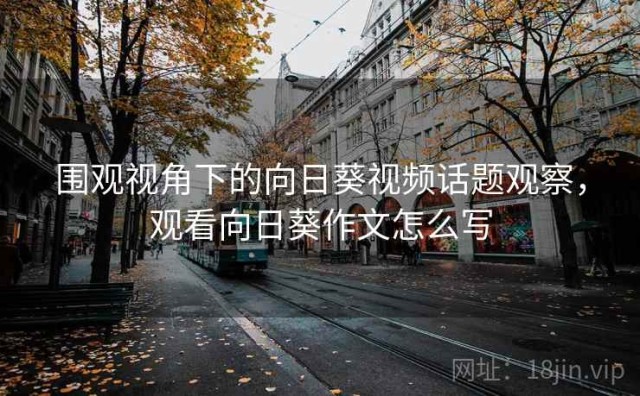 围观视角下的向日葵视频话题观察，观看向日葵作文怎么写