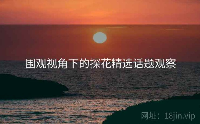 围观视角下的探花精选话题观察