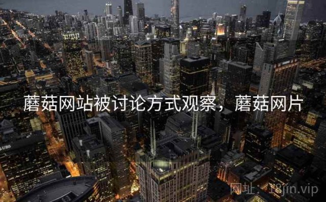 蘑菇网站被讨论方式观察，蘑菇网片