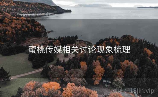 蜜桃传媒相关讨论现象梳理