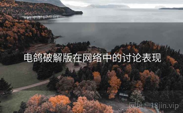 电鸽破解版在网络中的讨论表现
