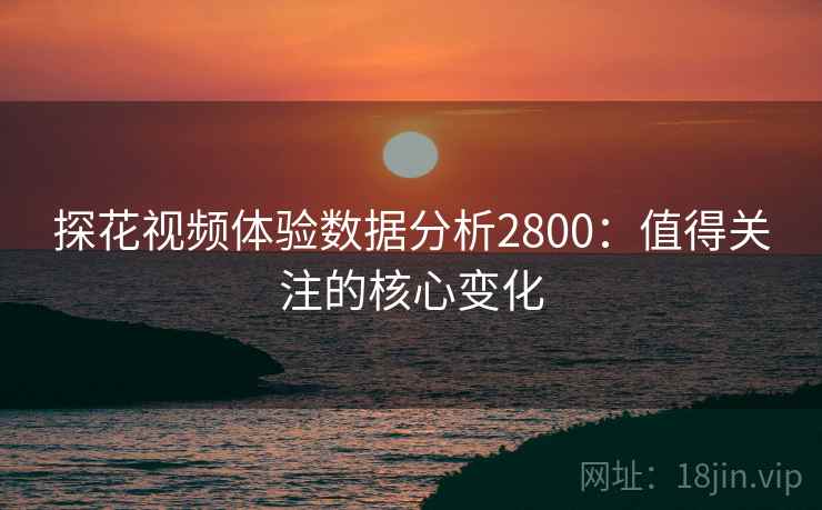 探花视频体验数据分析2800：值得关注的核心变化