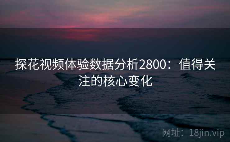 探花视频体验数据分析2800：值得关注的核心变化