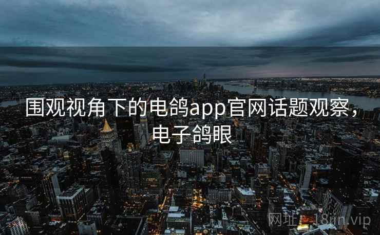 围观视角下的电鸽app官网话题观察，电子鸽眼