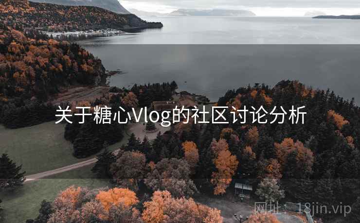 关于糖心Vlog的社区讨论分析