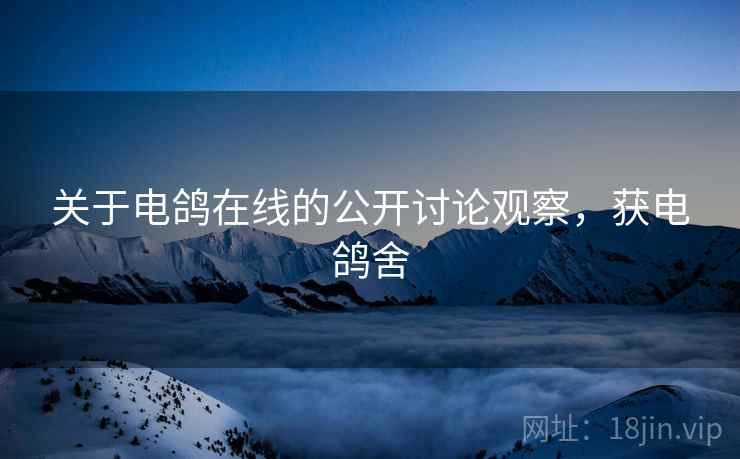 关于电鸽在线的公开讨论观察,获电鸽舍 关于电鸽在线的公开讨论观察,获电鸽舍